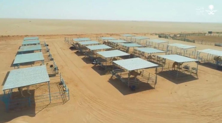 مظلات وسواتر سماء الابداع