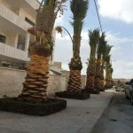 مظلات وسواتر سماء الابداع